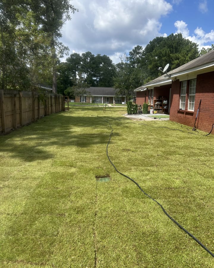 Backyard freshly laid with sod between a wood privacy fence and a brick house